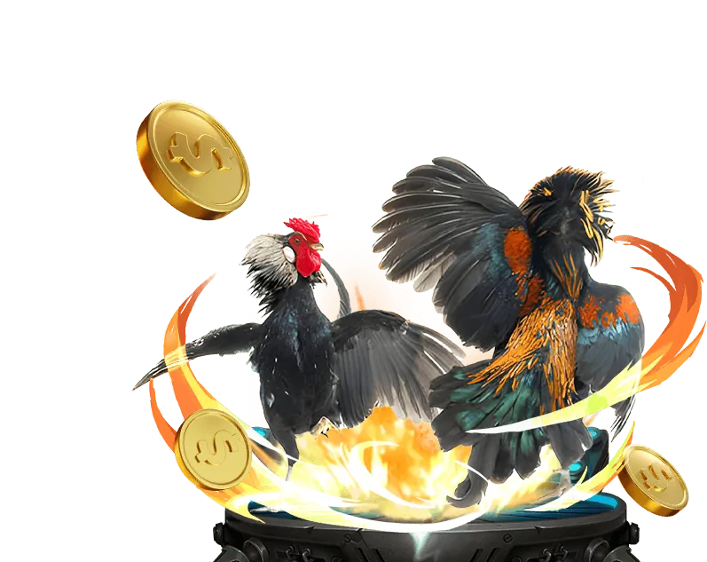 Đá Gà Trực Tuyến 1win